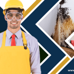 cleaning-tips-for-a-mold-free-home-preventing-and-managing-mold