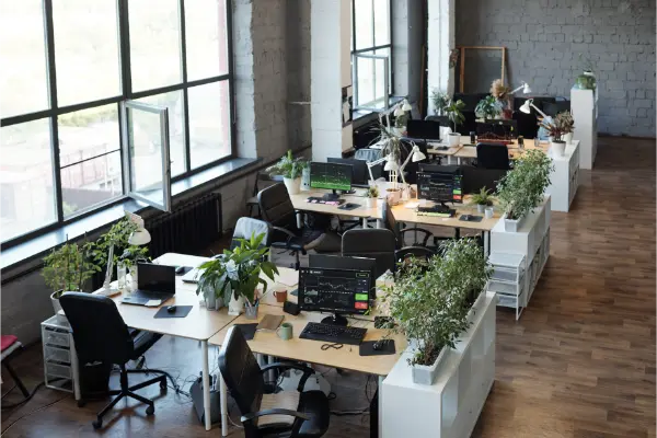 Eco Friendly Office Cleaning Sustainable Practices for a Greener Workplace