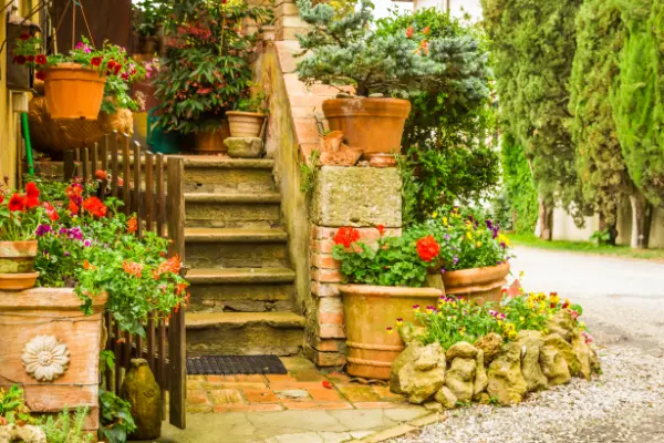 10 Essential Landscaping Tips for a Beautiful Yard