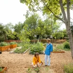 DIY Landscaping Tips for Creating a Beautiful Outdoor Space