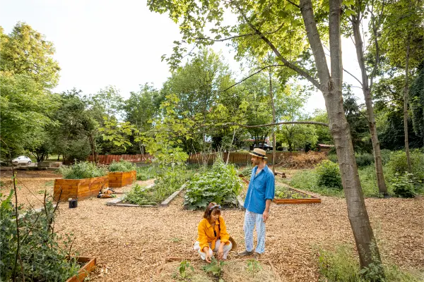 DIY Landscaping Tips for Creating a Beautiful Outdoor Space