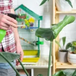 Eco Friendly Pest Control Services A Sustainable Approach to Pest Management