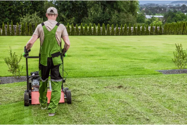 Grounds Maintenance 101 Best Practices for Keeping Your Outdoor Space in Top Condition