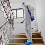 How Pest Control Services Can Protect Your Home and Family