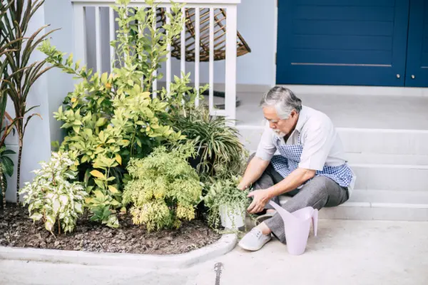 How to Create a Low Maintenance Landscape Design