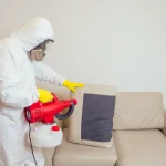 The Benefits of Professional Pest Control Services