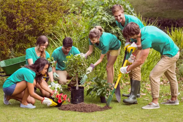 The Benefits of Sustainable Landscaping Practices