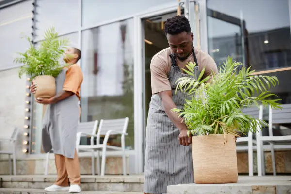 The Importance of Professional Grounds Maintenance for Commercial Properties
