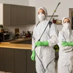 The Role of Pest Control Services in Maintaining a Healthy Environment