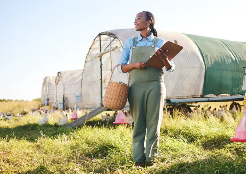 chicken farm black woman and agriculture monitor 2025 04 05 14 56 50 utc