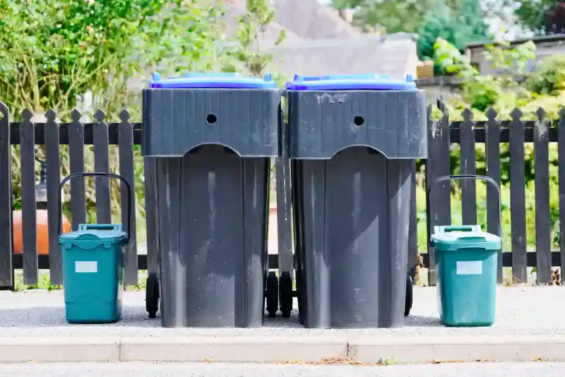 green food bins and black wheelie bins in tidy row 2026 01 11 08 28 13 utc