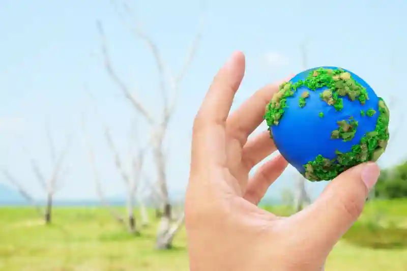 hands and earth 2025 03 10 15 54 57 utc