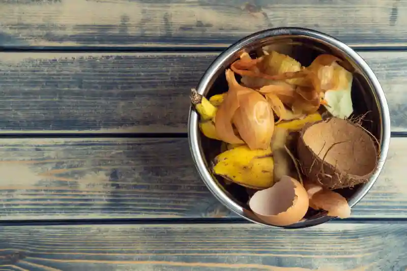 metal bowl full of organic food scraps and peel ru 2025 03 08 15 34 42 utc